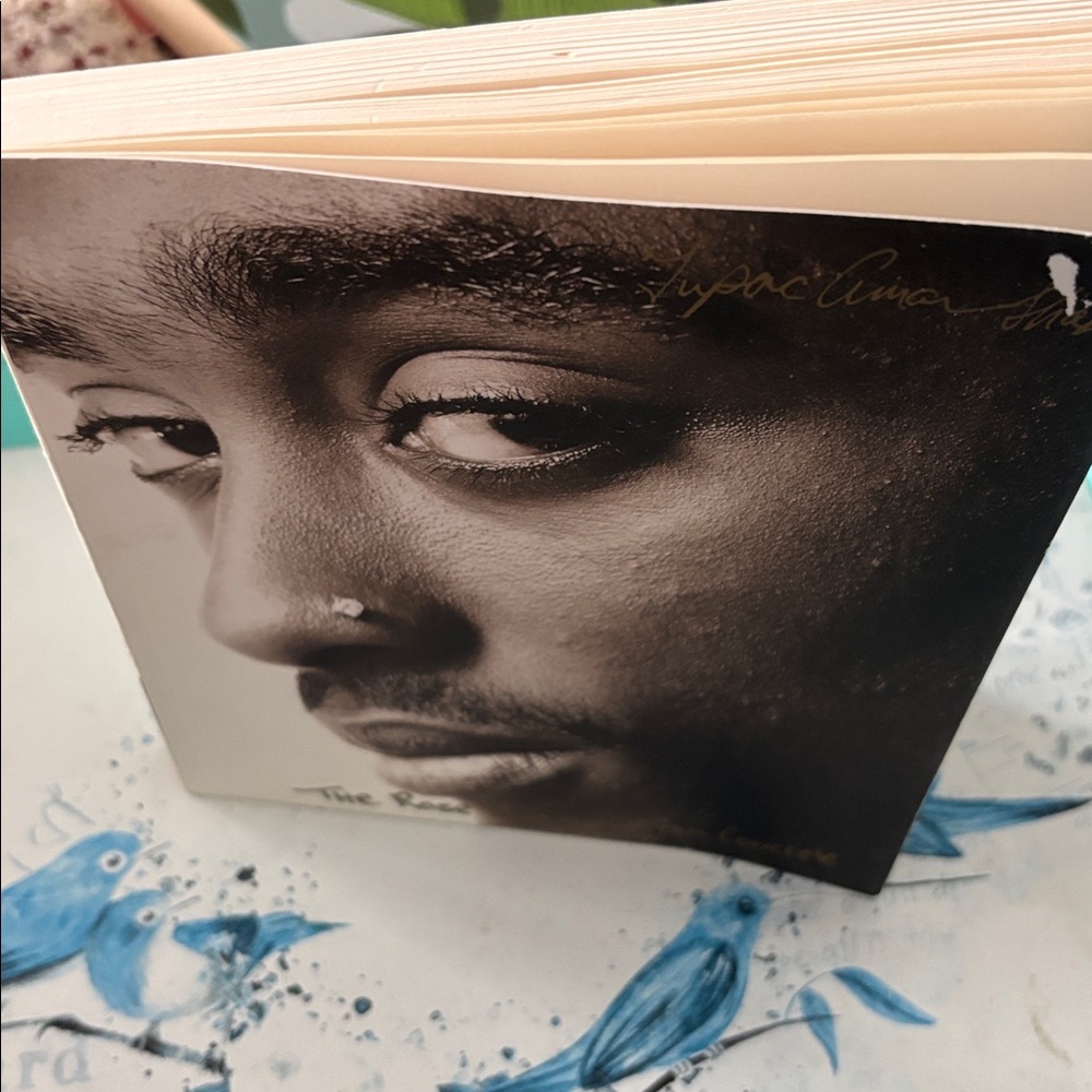 The Rose That Grew From Concrete Book
